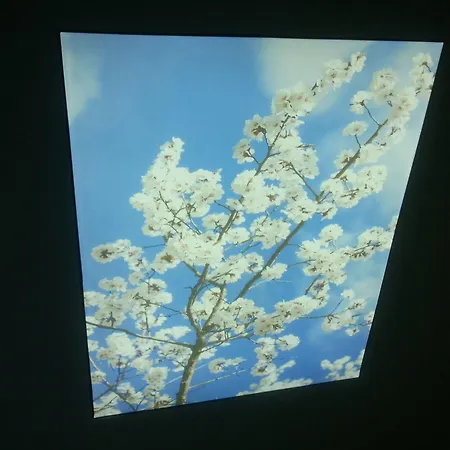 Elite Family Old Szálloda