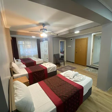 Elite Family Old Hotel 3*