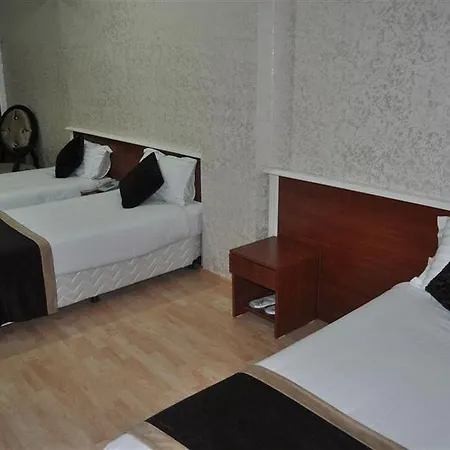 Elite Family Old Hotel 2*